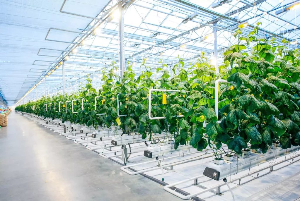 How do different greenhouse structures vary in Greenhouse Farming
