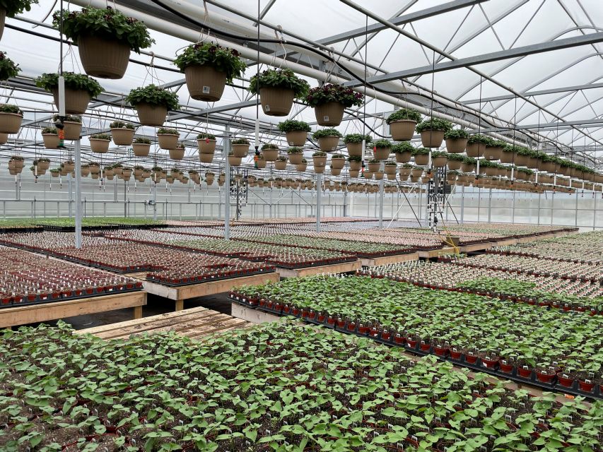 How can sustainability be integrated into Greenhouse Farming