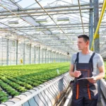 Greenhouse Grower Job Description