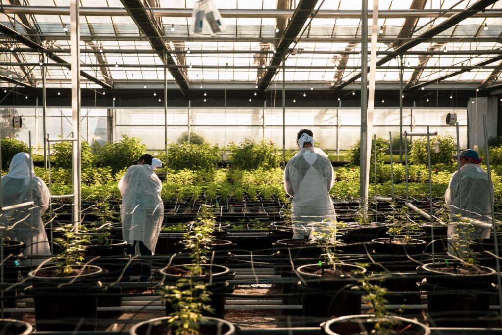 What Factors Influence a Greenhouse Technician’s Salary