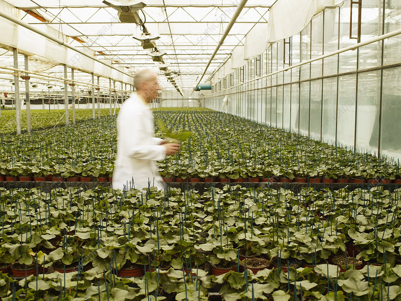 How Can a Greenhouse Technician Increase Their Salary
