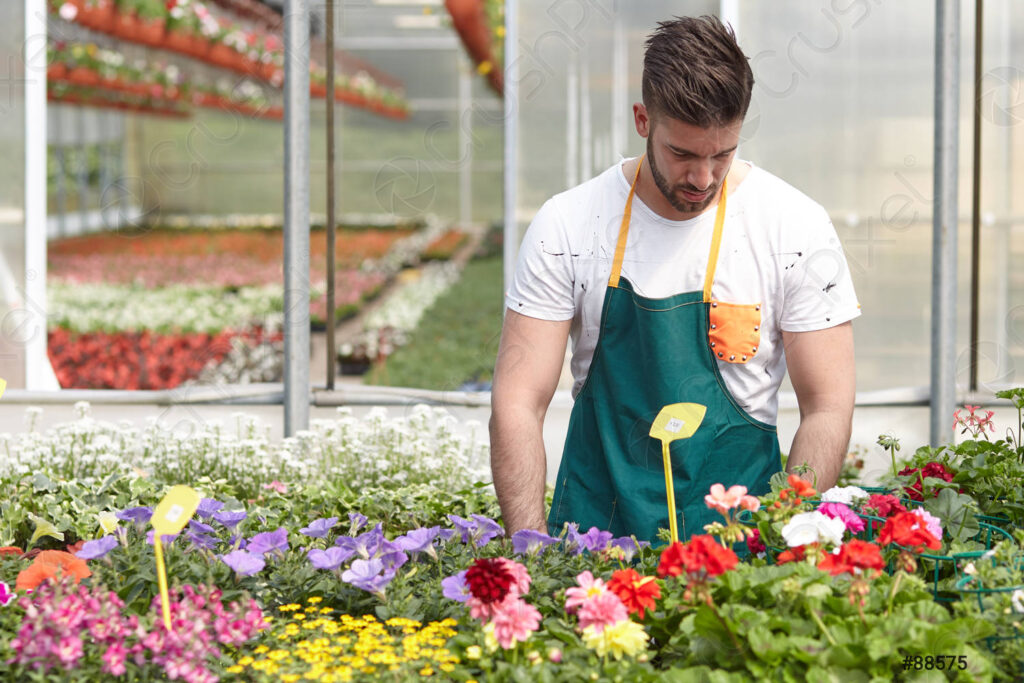 What Are The Roles and Responsibilities of Greenhouse Workers