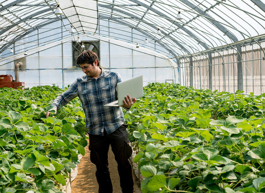 How much is the salary of a greenhouse worker in Canada