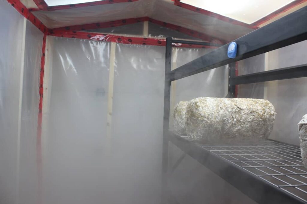 Introduction to How To Insulate A Grow Tent