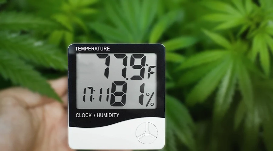 Humidity-Reducing Techniques During Watering