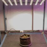 How To Make A Grow Tent