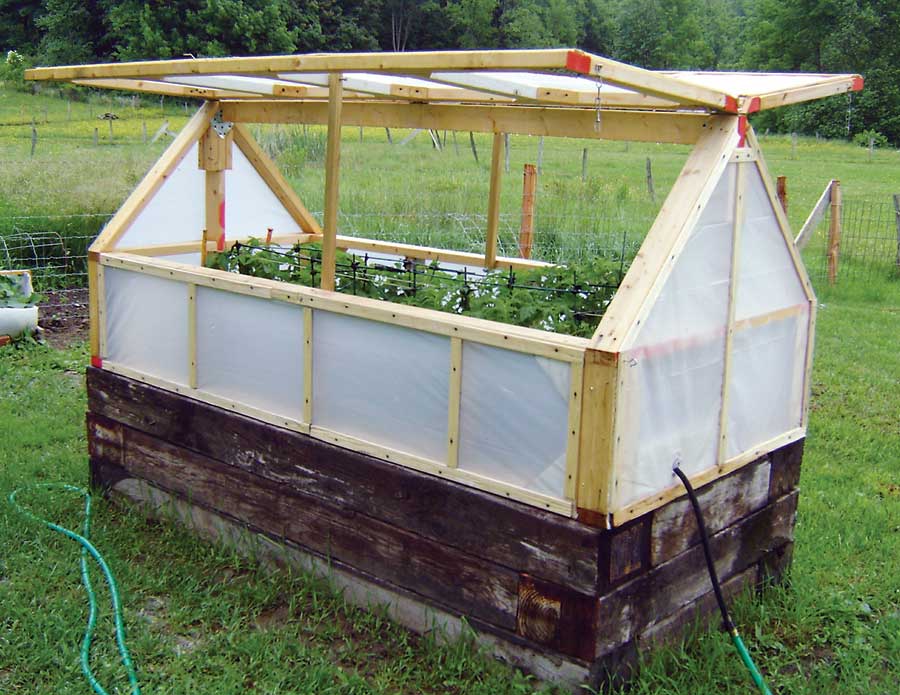 When and how should I harvest herbs from my mini greenhouse